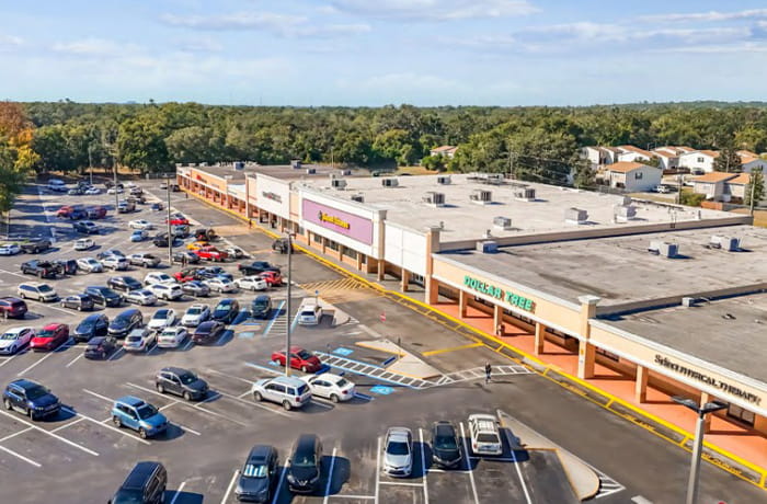 707 W Dr Martin Luther King Jr Blvd, Seffner, Florida 33584