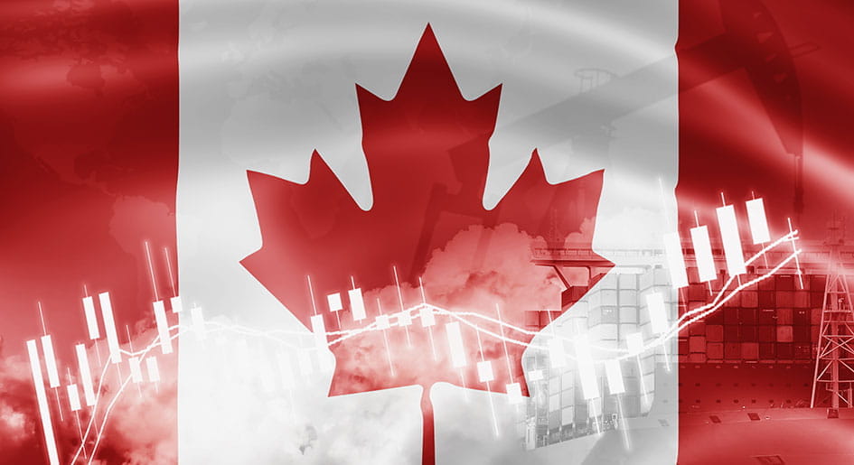 mm canada