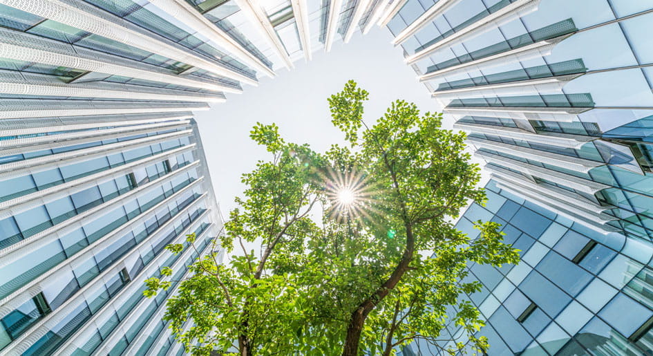 Investors Wait and See, Keep Close Watch on Office
